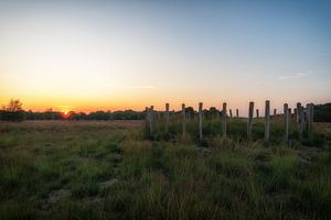 Grafheuvel op de heide van Maikel Brands