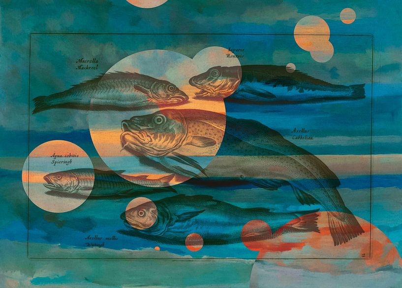 Fish in blue and orange by Nop Briex