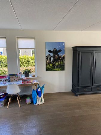Vaches dans un champ regardant dans l'objectif