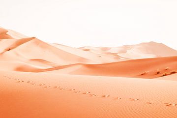 Footsteps in the desert