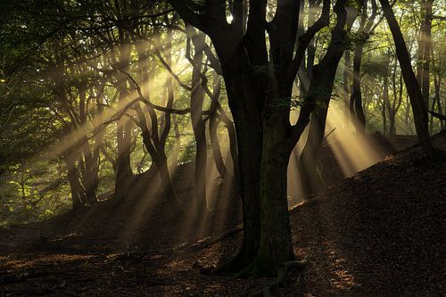Als de lichtschakelaar is gevonden.....