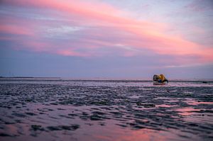 Buoy at low tide on the tidal flats by MdeJong Fotografie