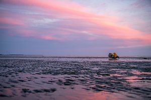Boei bij eb op het wad