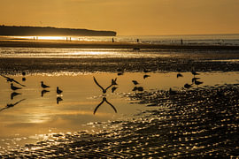 Strand am Abend