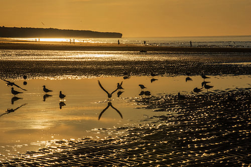 The beach at dusk
