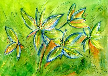 fresh green lilies by Claudia Gründler