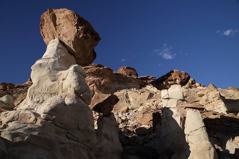 Hoodoo Forest (Rimrocks North) Grand Staircase-Escalante National Monument in zuidelijk Utah, Vereni van Frank Fichtmüller