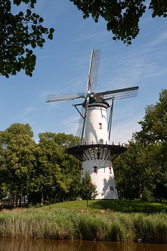 Korenmolen De Hoop Tholen van Richard Wareham