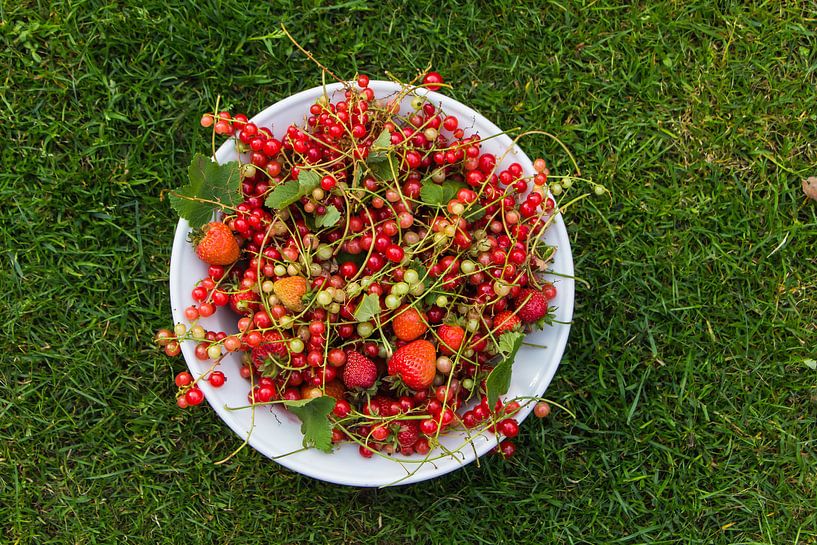 Lokaal, gezond en duurzaam fruit uit de tuin van Hilda Weges