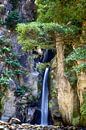 Salto do Cabrito by Fabian Roessler thumbnail
