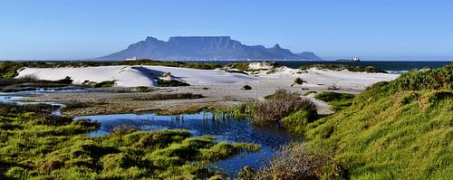 Sanddünen und der Tafelberg im Hintergrund