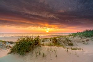 post 17 Texel von dunkel bis schön 03