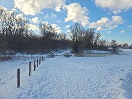 Winter in den Niederlanden (Nootdorp) von Roeland Roeten