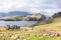 view of verada da ponta de Sao Lourenco peninsula by Eric van Nieuwland thumbnail