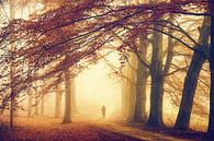 Without Thoughts by Lars van de Goor thumbnail