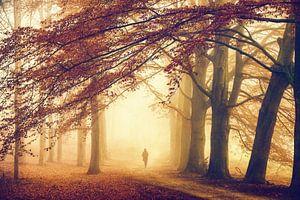 Herbst ohne Gedanken