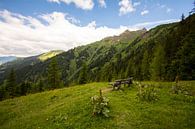 enjoy the view by Alena Holtz thumbnail