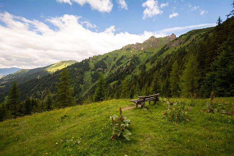 enjoy the view by Alena Holtz