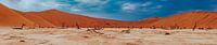 Panorama picture of Deadvlei in the Namib Desert, Sossusvlei, Namibia, Africa by Patrick Groß thumbnail