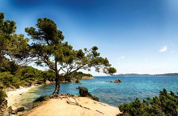 Côte d'Azur von Ken Kühlbrandt