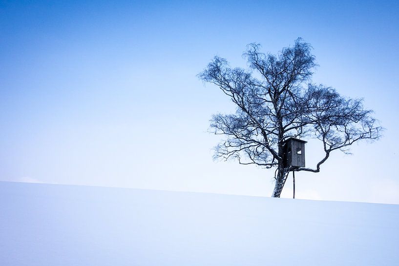 Tranquil nature in winter by Tjaard Heikens