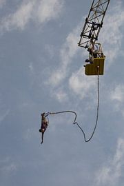 Bungee Jump by Diana Lous