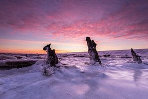 Magische Zonsopkomst op een bevroren Waddenzee! van Peter Haastrecht, van