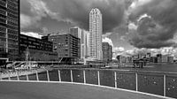 Skyline Rotterdam (16-9): blik op de Wilhelminapier (zwart-wit) van Rick Van der Poorten thumbnail