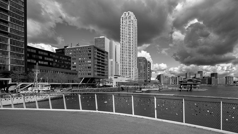 Skyline Rotterdam (16-9): blik op de Wilhelminapier (zwart-wit) van Rick Van der Poorten