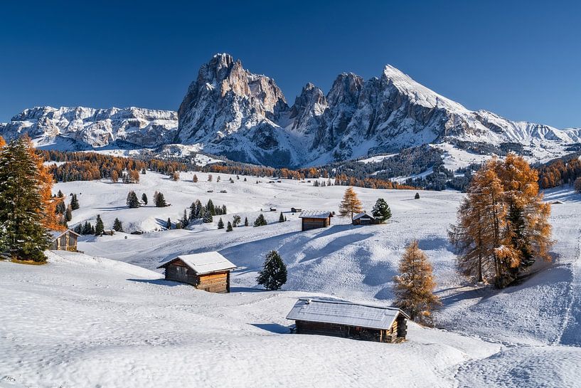 Herfst op de Alpe di Siusi Zuid-Tirol van Achim Thomae Photography