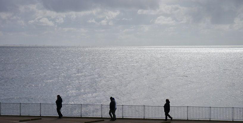 Wanderer auf dem Afsluitdijk von Hans Heemsbergen