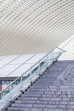 Architectuur Liège-Guillemins, station Luik, ontworpen door Calatrava. van Shaquille Maarschalkerweerd