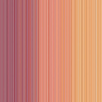 Confetti of the morning. by Shana Kersten