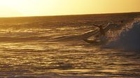 The surfer at sunset