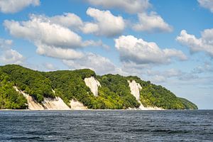 Kreideküste Insel Rügen