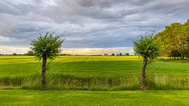 Sonnenlicht über der friesischen Landschaft
