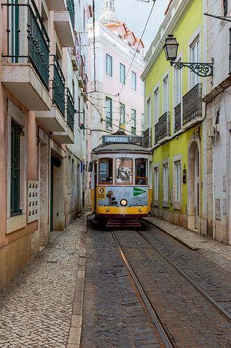 Est-ce qu'il convient ?