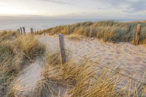 Strand en zee aan de Hollandse kust van Dirk van Egmond