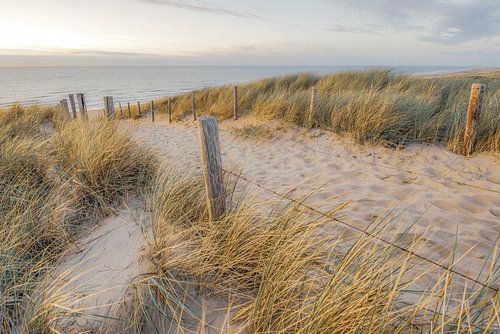 Strand en zee aan de Hollandse kust