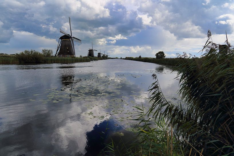 Windmühlen in Kinderdijk von Jan Kranendonk