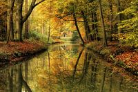 Forêt d'automne féerique.