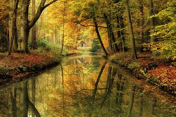 Fairytale autumn forest. by Bob Bleeker
