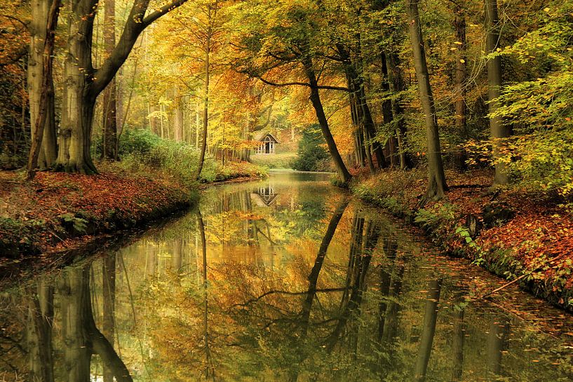 Sprookjesachtig herfst bos. van Bob Bleeker