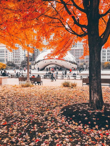 Chicago by Hello Pompoyo