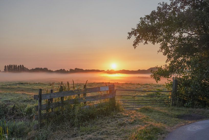 dreamland by Dirk van Egmond