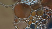 Circles