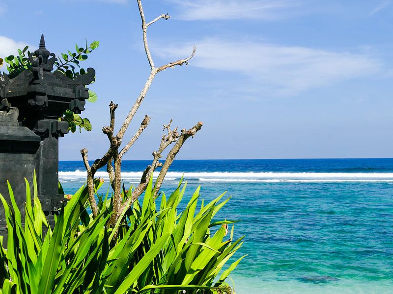 Het paradijs op Bali by Petra Brouwer