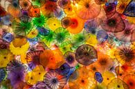 Jellyfish lampen van Edwin Mooijaart thumbnail