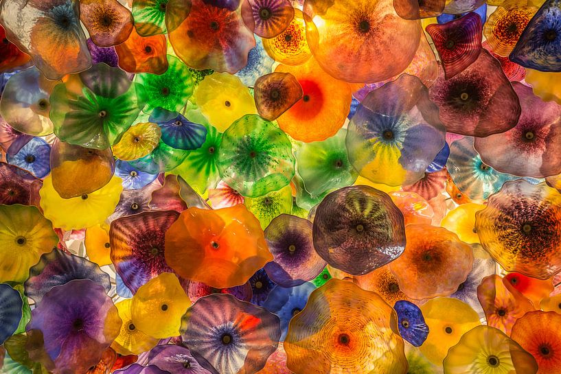 Jellyfish lampen van Edwin Mooijaart