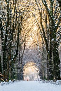 Journée de neige colorée